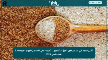 تغير جديد في سعر طن الأرز الشعير.. تعرف على السعر اليوم الأربعاء 6 أغسطس 2025